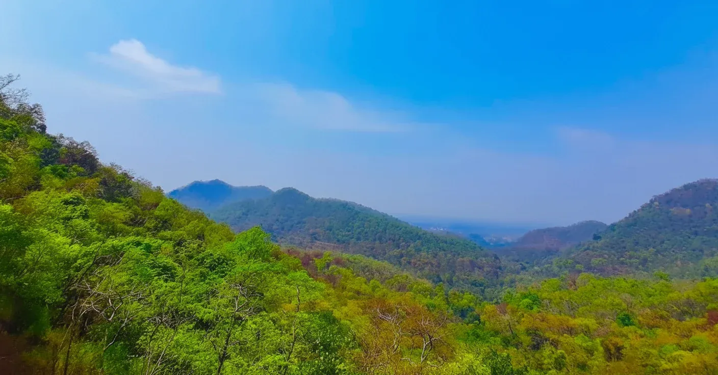Gandhamardan Hills